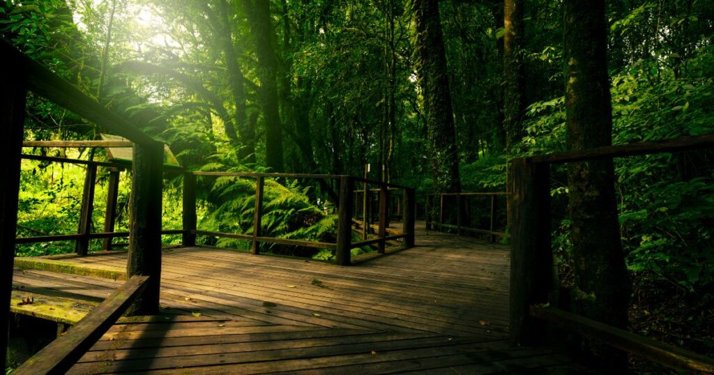 Sustainable Tourism in Croatia Eco Travel Tips & Guide