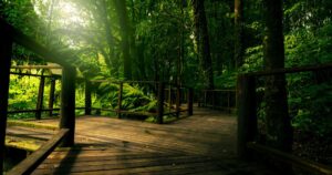 Sustainable Tourism in Croatia Eco Travel Tips & Guide