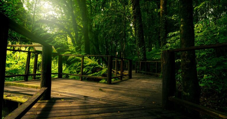 Sustainable Tourism in Croatia Eco Travel Tips & Guide